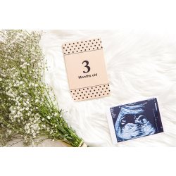 all4ella milestone cards timber pregnancy