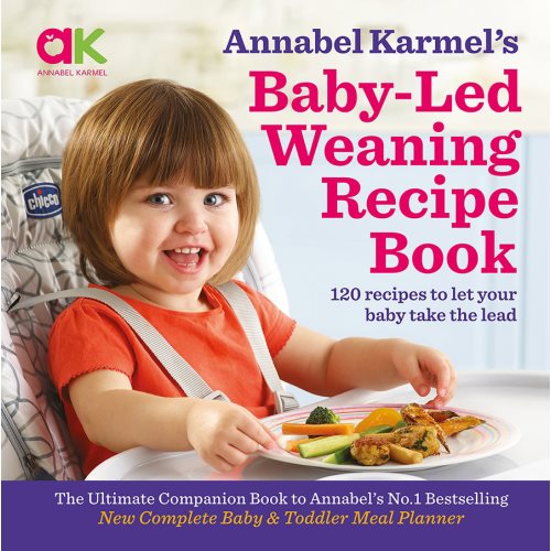 annabel karmel weaning book new2018